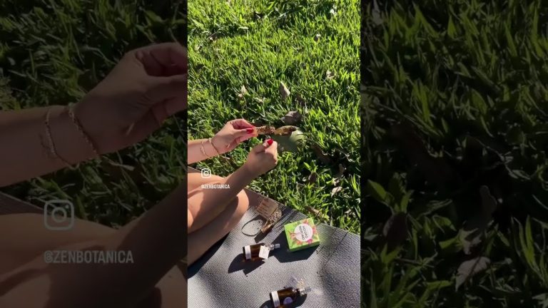O Poder Calmante do Palo Santo